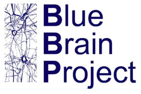 blue_brain_project